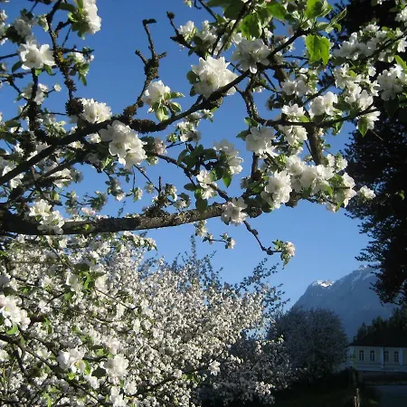Apartment Karin Ramsau am Dachstein