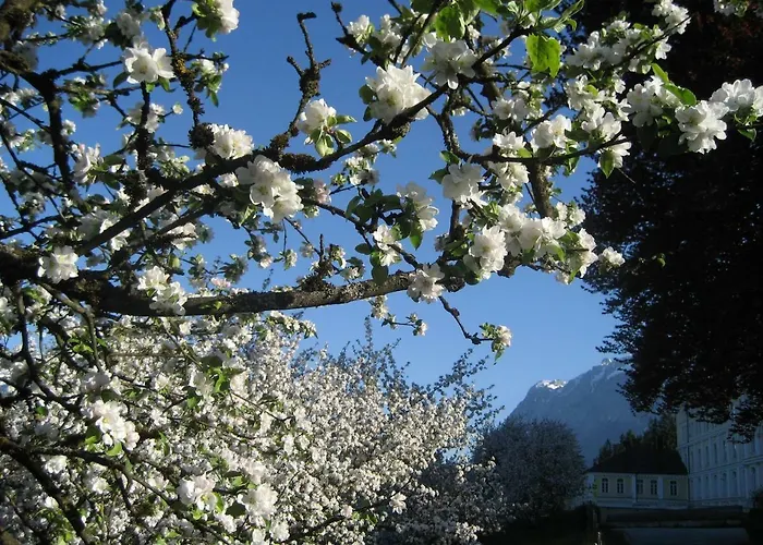 Apartment Karin Ramsau am Dachstein